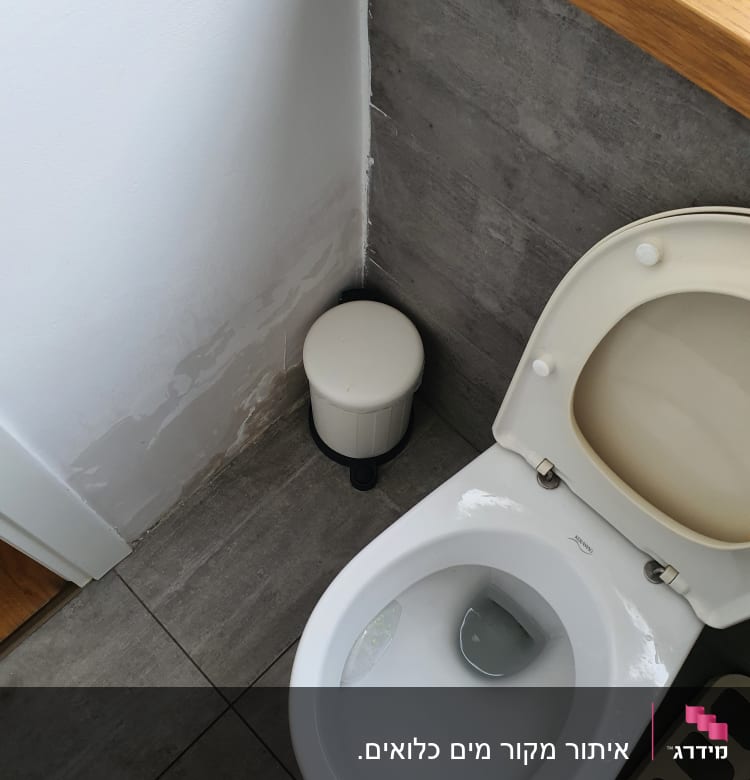 אסלה עם כתמי רטיבות על הקיר ליד